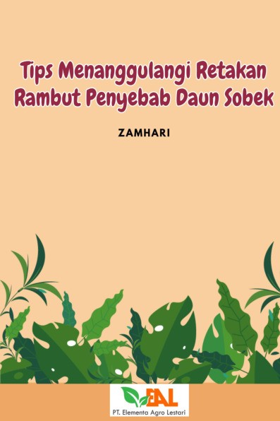 Tips Menanggulangi Retakan Rambut Penyebab Daun Sobek